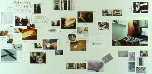 Aki Fujiyoshi: Self-Investigation (Case#2522), 1999, board, c-print and ink jet prints.