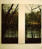 Mary Ellen Carroll, "View from the Farnsworth House," 1998, at Frederieke Taylor TZ'Art