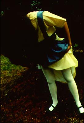 Anna Gaskell Alice In Wonderland