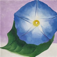 Blue Morning Glory, 1934