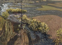 Landscape, 1981