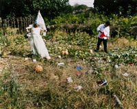 Prestissimo, 2008