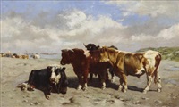 Cattle on the Shore