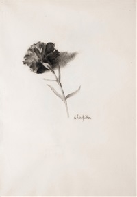 Goździk (praca dwustronna), 1930