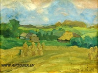 July countryside