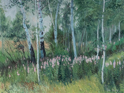 aspen and fireweed by john horejs