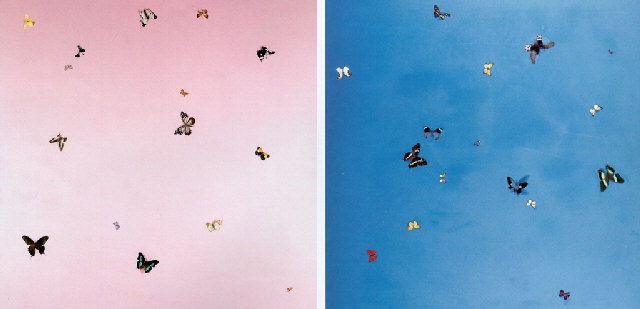 In love - out of love by Damien Hirst on artnet