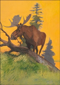 sunset moose by robert wesley amick