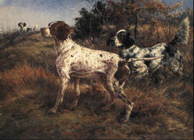 A German Short Haired Pointer And Two Setters In A Landscape By