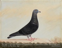 Pair of portraits of racing pigeons, 'Darkey , 1933 Pair of portraits of racing pigeons, 'Darkey , 1933