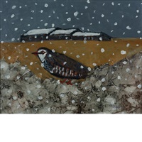 Nevicata