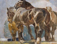 Horses