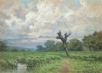 Paesaggio con albero