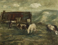 cows by sigmund joseph menkes