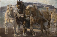Harnessed Horses