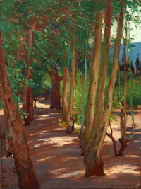 Interior of an orchard, St. Ives, Cornwall, 1903 Interior of an orchard, St. Ives, Cornwall, 1903