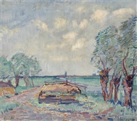 Pollard willows in a field