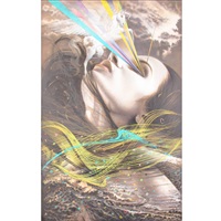 Elements, 2019