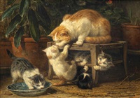 Mother cat playing with her kittens on a tabouret Mother cat playing with her kittens on a tabouret