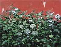 White roses, 2019