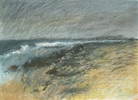 Stormy landscape