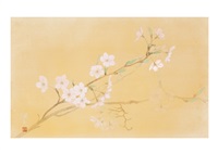 CHERRY BLOSSOM, 1980