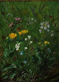 Forest floor in Englund, Denmark, 1880