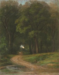 Chemin en sous-bois