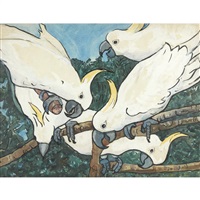 Cockatoos