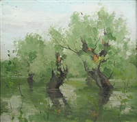 Flooded Delta, 1924