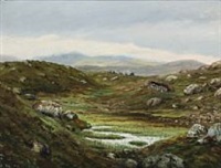 Landscape from the Faroe Islands