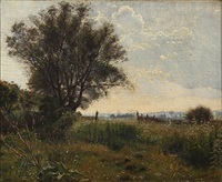 Summer landscape