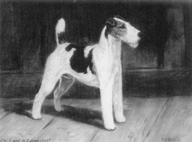 Ch Last Ogamester A Wire Haired Fox Terrier By Frederick Thomas