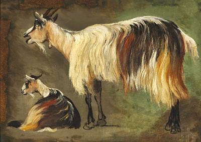 Two Standing And Lying Longhaired Goats Study By Johan Thomas