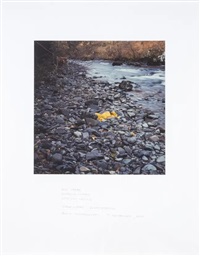 Elm Leaves Dipped in Water Laid on Stones, 2000 Elm Leaves Dipped in Water Laid on Stones, 2000
