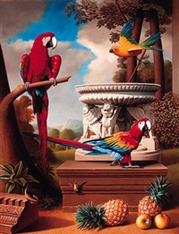 Grand macaws