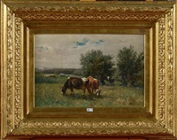 Vaches au pré