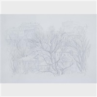 Town houses through trees