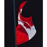 PAINTED FLAG, 2000, 2000