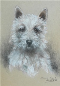  'A Wee Free' - West Highland Terrier