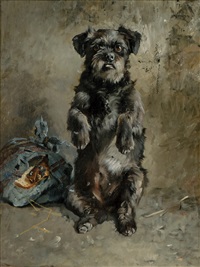 Tiggende Schnauzer