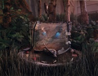 Untitled (from Natural Wonder Series), 1992