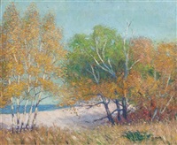 Lake Michigan Shoreline