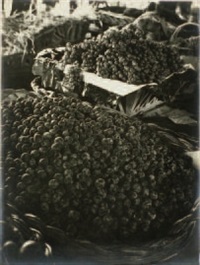 Prugne e uva, 1937