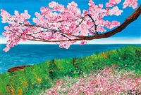 Cherry Blossoms, 2007