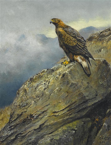 a golden eagle perched on a rock by george edward lodge on artnet