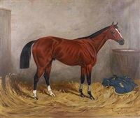 Ritka II, Sieger im Preis von Schönau 1900 Ritka II, Sieger im Preis von Schönau 1900