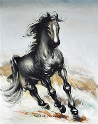 高原魂, 2008