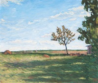 Flache Landschaft