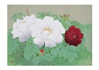 PEONY